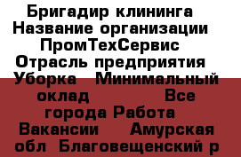 Бригадир клининга › Название организации ­ ПромТехСервис › Отрасль предприятия ­ Уборка › Минимальный оклад ­ 30 000 - Все города Работа » Вакансии   . Амурская обл.,Благовещенский р-н